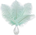 Ballinger Aqua Green Ostrich Feathers - 24pcs 12-14inch Craft Feathers Bulk for Wedding Party Centerpieces Mardi Gras Decorations and Home Decor
