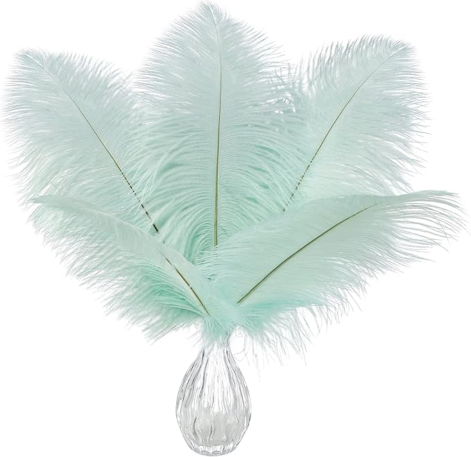 Ballinger Aqua Green Ostrich Feathers - 24pcs 12-14inch Craft Feathers Bulk for Wedding Party Centerpieces Mardi Gras Decorations and Home Decor