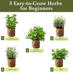 5 Herb Garden Planter Indoor with Wooden Box, Home Kitchen Seed Starter Kit Including Basil, Thyme, Parsley, Rosemary, Mint, Birthday, Mothers Day, House Warming, Gardening Gifts for Women, Mom