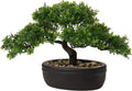 Artificial Bonsai Tree Juniper Faux Plants Indoor Small Fake Plants Decor with Ceramic Pots for Home Table Office Desk Bathroom Shelf Bedroom Living Room Farmhouse Decorations