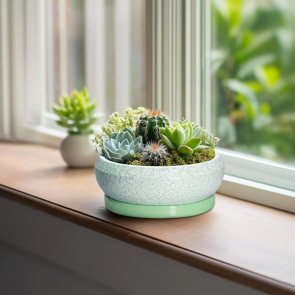 Succulent Pot 6 Inch - Ceramic Bonsai Pots Indoor Outdoor, Shallow Plant Pots with Drainage Hole and Saucer, Small Bonsai Planter, Round Bowl Planter, Desk Decor, Housewarming Gifts, Green
