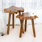 Natural Teak Wood Live Edge Side Table with Wood Legs – Rustic Side Table for Living Room, Bedroom – Sturdy Real Teak Wood End Table, Easy to Assemble (14"x16"x20" +18"x20"x20")