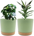 QCQHDU 8 inch Plant Pot, 2 Pack Planters for Indoor Plants with Drainage Holes & Saucer, Outdoor Flower Pots Home Garden Modern Decor