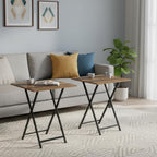 Folding TV Tray Table, Set of 2 Small Table, TV Dinner Table, Snack Tray Table Set, Portable Foldable Desk, Sofa Side Table, TV Tray Table for Couch, Living Room, Small Space