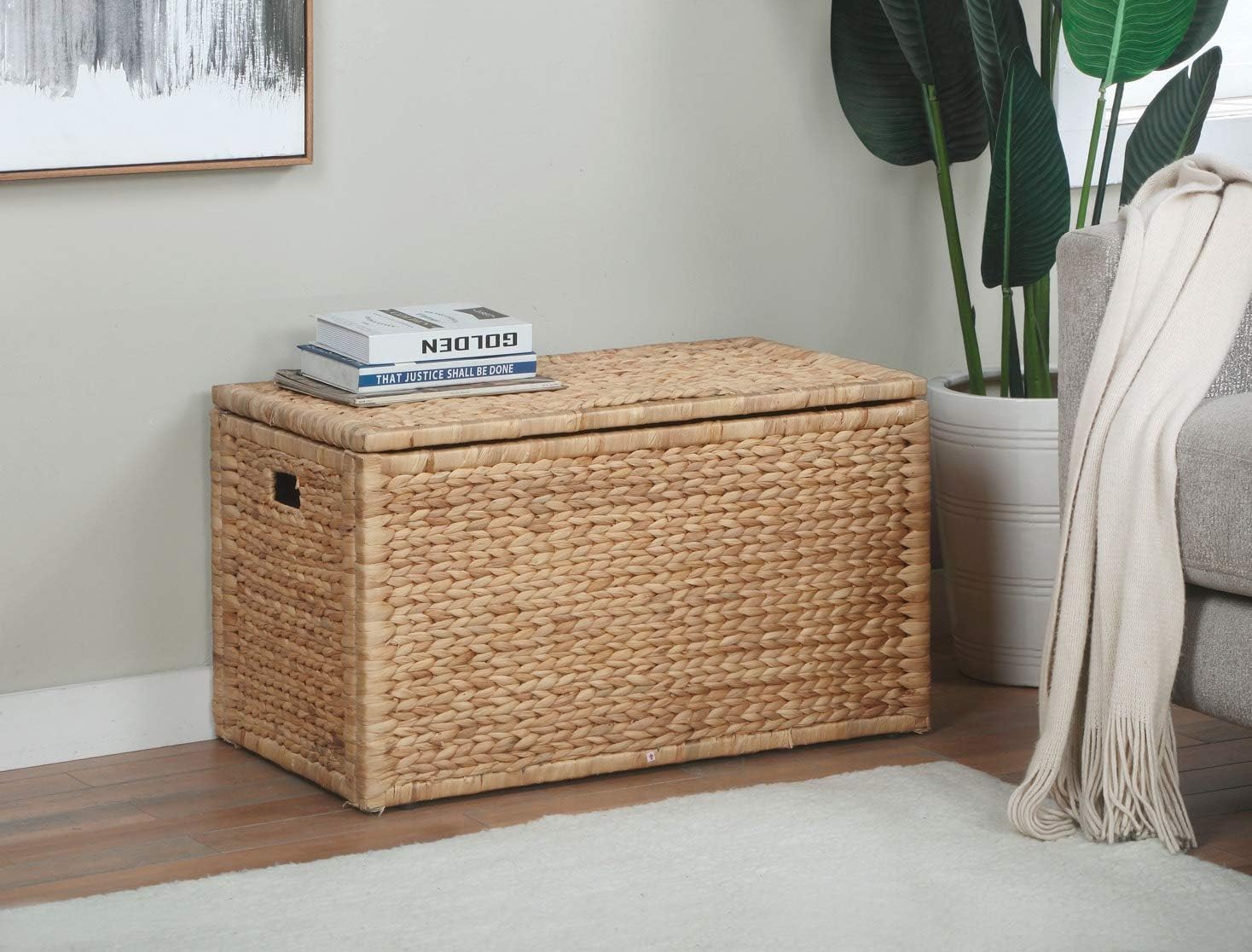 eHemco Water Hyacinth Wicker Storage Trunk, Natural, 30x17.5x17.5 Inches | Safety Hinge, Metal Frame, Decorative Blanket Chest & Storage Box, Farmhouse Woven Storage, For Living Room & Entryway