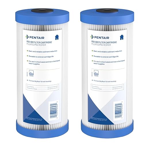 Pentair Pentek R50-BB Big Blue Sediment Water Filter, 10-Inch, Whole House Pleated Polyester Filter Cartridge, 10" x 4.5", 50 Micron, Pack of 2