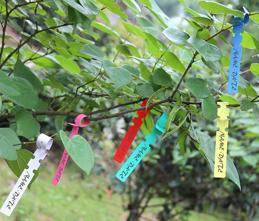 Professional Grafting Tool Kit - 3-in-1 Pruner with SK5 Blades, Grafting Knife, Tapes, Labels & Clips - Fruit Tree Grafting Supplies for Apples, Peaches, Grapes (Gardening Grafting Tools)