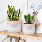 EFISPSS Plant Pots, 4+5+6 Inch Pots for Indoor Plants,Ceramic Planter Pot with Drainage Hole,Flower Pots for Succulent Cactus,Set of 3 - Rainbow Pearl Glaze