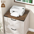 Halitaa Farmhouse File Cabinet with 2 Drawers for Home Office, Rustic White | Vertical Filing Cabinet Fits Letter and A4 Size, Farmhouse Printer Stand, Under Desk Wooden File Cabinet