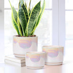 EFISPSS Plant Pots, 4+5+6 Inch Pots for Indoor Plants,Ceramic Planter Pot with Drainage Hole,Flower Pots for Succulent Cactus,Set of 3 - Rainbow Pearl Glaze