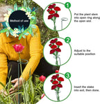 HiGift 10 Pack 24 inch Plant Stakes and Supports, Metal Flower Stakes for Potted Plant Indoor, Garden Stakes for Tall Plant Single Stem Flowers Amaryllis Tomatoes Peony Lily Rose (61 cm Long)
