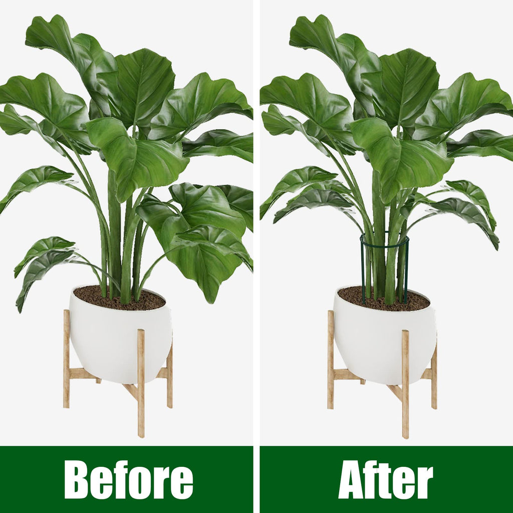FEED GARDEN Peony Cages and Supports, 6 Pack Plant Support Stakes for Outdoor & Indoor Plants, 10" W x 16" H Half Round Garden Plant Support Rings for Peonies, Hydrangeas, Roses, Dahlias