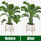 FEED GARDEN Peony Cages and Supports, 6 Pack Plant Support Stakes for Outdoor & Indoor Plants, 10" W x 16" H Half Round Garden Plant Support Rings for Peonies, Hydrangeas, Roses, Dahlias