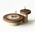 Set of 2 Modern Round Nesting Coffee Tables with Storage for Living Room | Round Coffee Table & Side End Table, Versatile Furniture for Living Room, Bedroom, Balcony(B,80cm/31.5in)