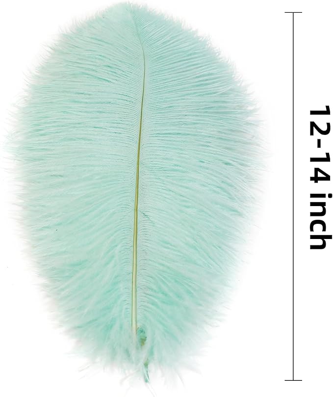 Ballinger Aqua Green Ostrich Feathers - 24pcs 12-14inch Craft Feathers Bulk for Wedding Party Centerpieces Mardi Gras Decorations and Home Decor