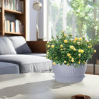 12/10/9 Inch Plant Pots, 3 Pack Large Flower Pots for Indoor and Outdoor Plants with Water Ripples, Large Plastic Flower Pots with Drainage Holes and Tray for Garden Indoor Plants