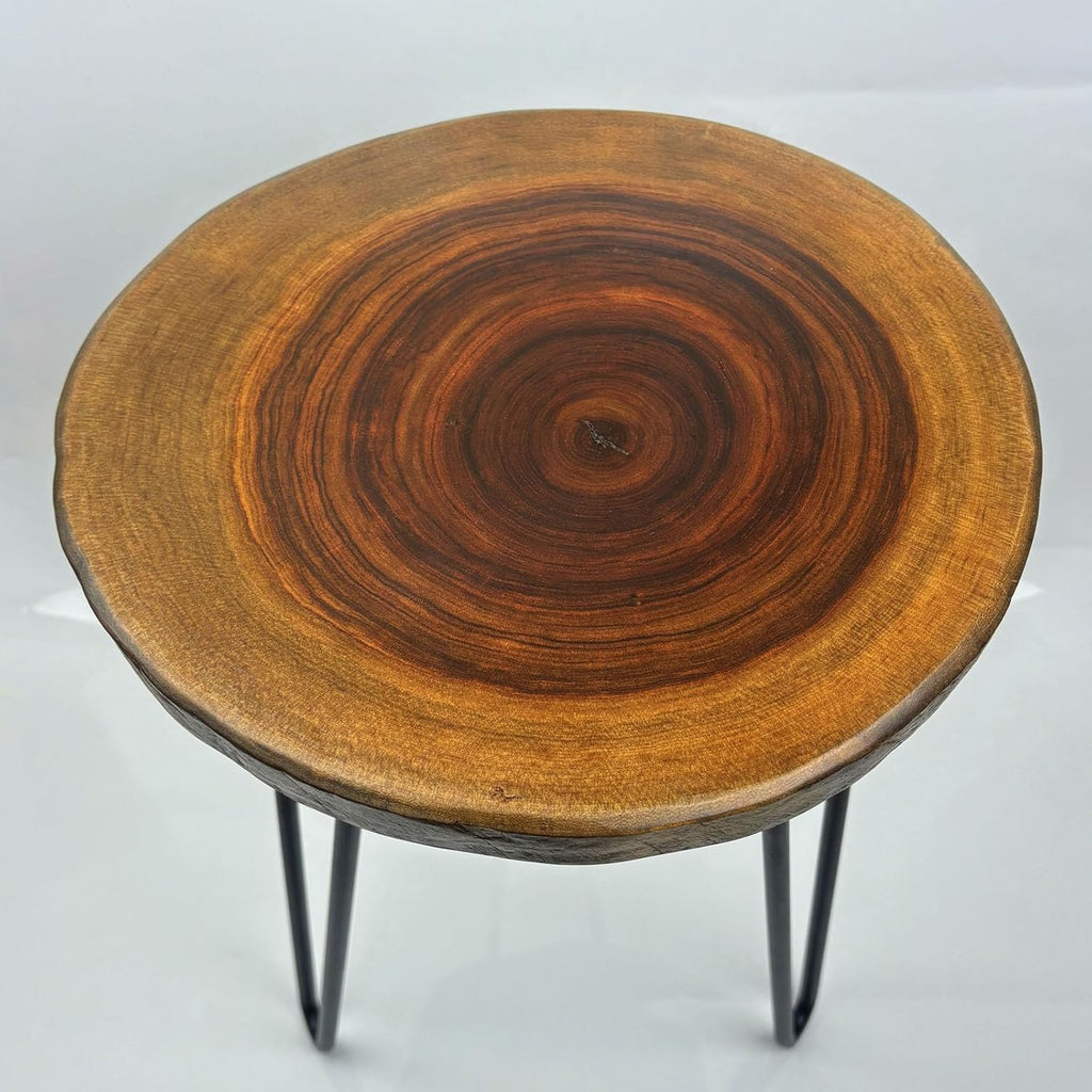Live Edge End Table, About 15-18" W x 17" H Natural Edge Camphor Wood Stump Side Table for Living Room, Unique Desktop with Metal Hairpin Legs, Natural Wood Nightstand, Plant Stand