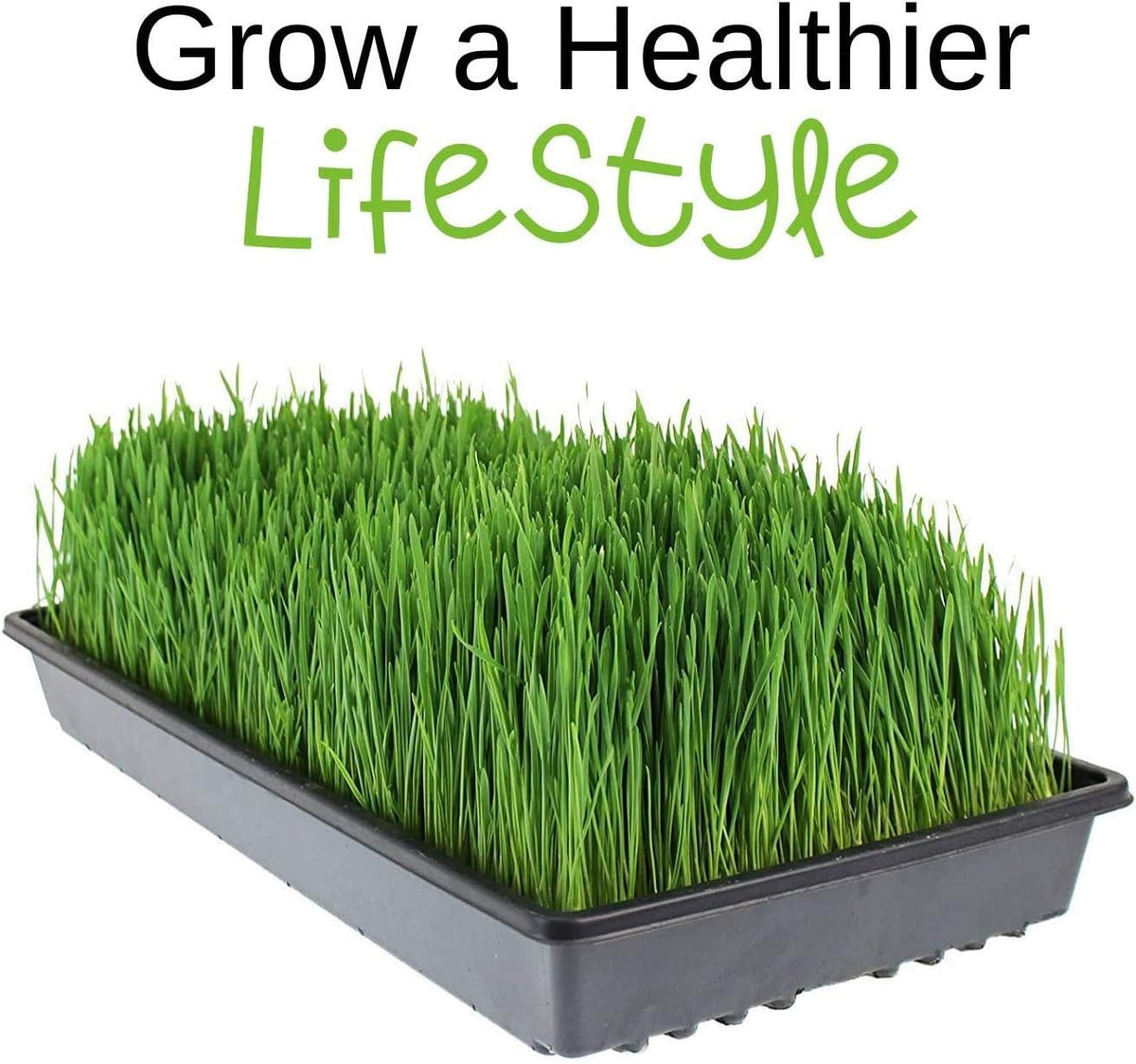 Micro-Mats Hydroponic Grow Pads - for Organic Production - 10 Pack - Plant & Seed Germination: Wheatgrass, Microgreens, More - for 20" x 10" Greenhouse Trays