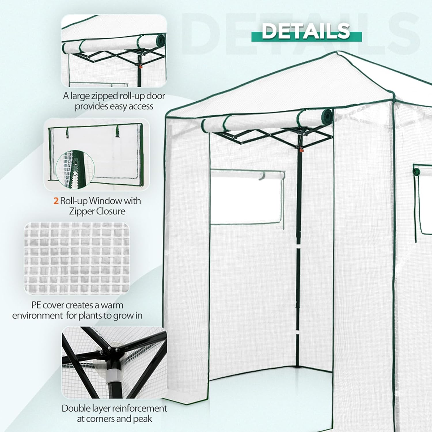 EAGLE PEAK Instant Pop-up Greenhouse, Indoor Outdoor Plant Gardening Green House, Roll-Up Zipper Doors and Side Windows, Walk in 6x4 ft, PE Cover, White/Clear