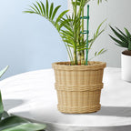 20-Piece Set of Adjustable Plant Stakes with Clips and Connecting Pipes for Orchids Roses Tomatoes and Other Single-Stem Flowers Measuring 11.8 Inches