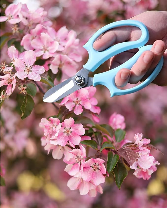 Flower Scissors - Stainless Steel Floral Scissors, Florist Cutters for Stems, Garden Plant Shears for Fresh Flowers (Blue, Pink) (12 PCS)