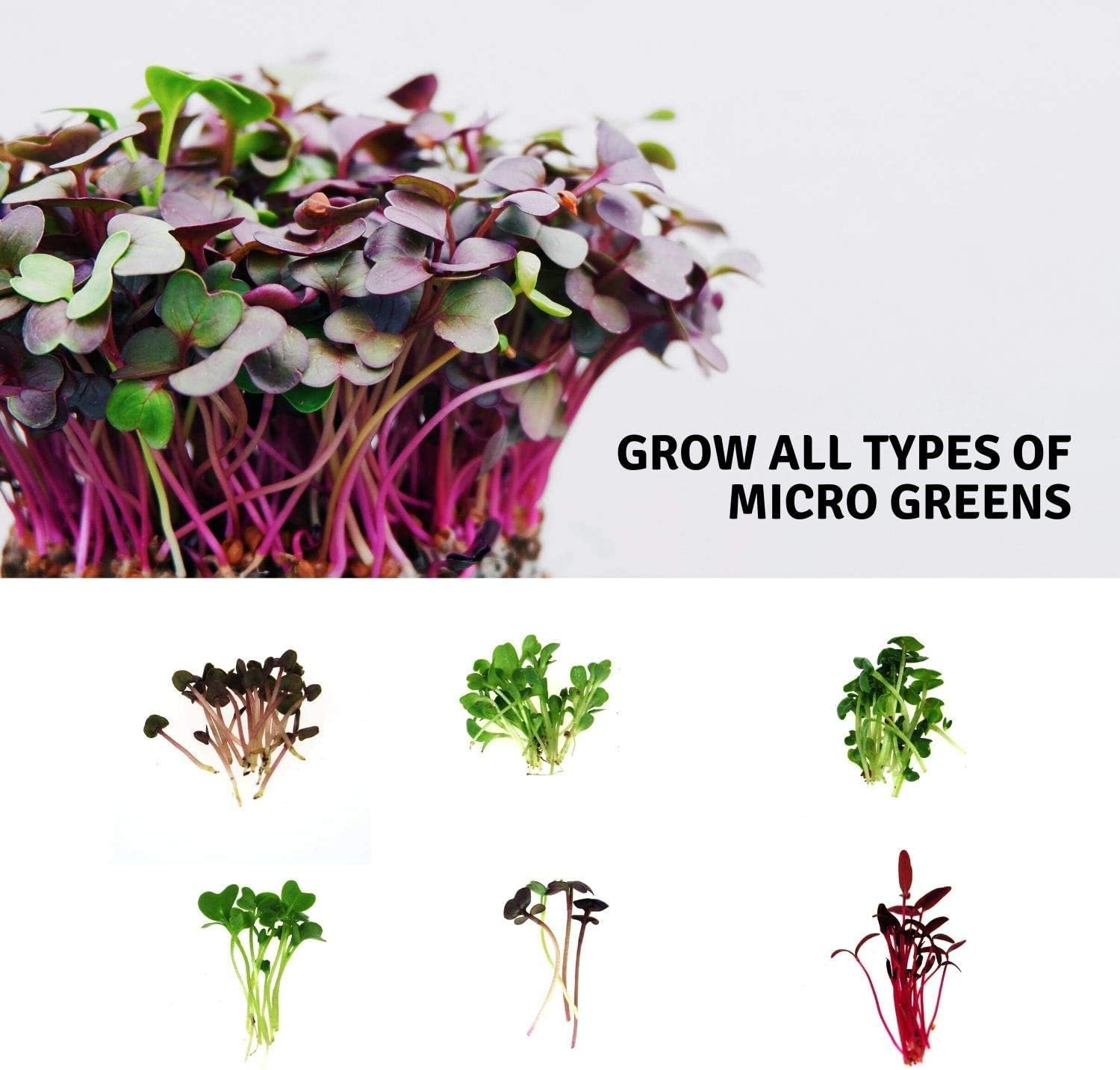Handy Pantry Micro-Mat Minis Hydroponic Grow Pads - for Organic Production - Plant & Seed Germination: Wheatgrass, Microgreens, More - 4" x 4" to Fit 5" x 5" Greenhouse Plant Trays (96)