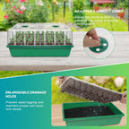 GOOINMILL Self-Watering Seed Starter Tray with Timed Grow Light, 80 Cells Plant Starter Tray Seedling Starter Kit with Humidity Domes Base Indoor Mini Greenhouse Plant Germination Trays