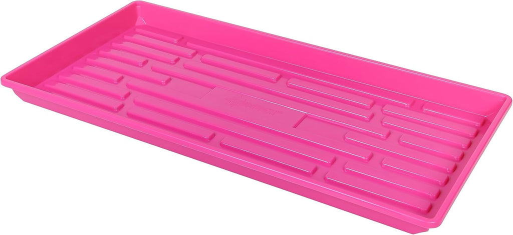 SUNPACK 10" x 20" Heavy Duty Shallow Plastic Seed Starting Tray, Magenta, 1" (Pack of 10) - No Drainage Holes, Perfect for Greenhouses or Indoor Gardening