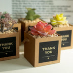 Temlum 2.5 Inch Succulent Wrap Bags (Fits 2.5″ Pots) with Thank You & Let Love Grow Stickers, Small Gift Box for Wedding, Baby Shower, Succulent Party Favors for Guests (Brown 40pcs)