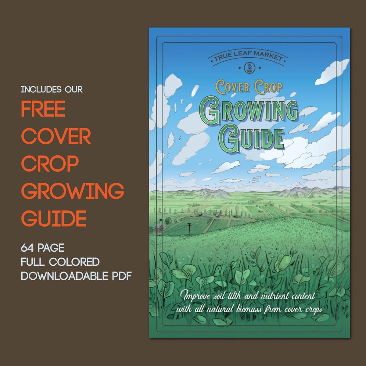 No-Till Forage Friendly Cover Crop Seed Mix – 5 lb, Covers 1,000 Sq. Ft. – 9 Winter-Kill Varieties for Spring, Summer & Fall – Non-GMO Planting Seeds