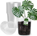 1 Gallon Reinforced Clear Nursery Pots with Drainage Hole, 30 Packs, 6.7 Inch Transparent Pots for Seedlings, Indoor/Outdoor Plants, Veggies, Flowers, and Professional Nursery Use