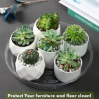 Plant Saucer 15 Pack Plant Trays for Pots 8/10/12 Inch Plastic Plant Saucers for Outdoors and Indoors Clear Drip Trays for Potted Plants Flower Pot Plates to Catch Water Plant Drainage Dishes No Holes