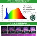 Seed Starter Tray with Plant Light, 2 Pack Grow Lights for Seed Starting Kit with Humidity Domes, Timing Controller Adjustable Brightness for Greenhouse Propagator Station Planting Growing