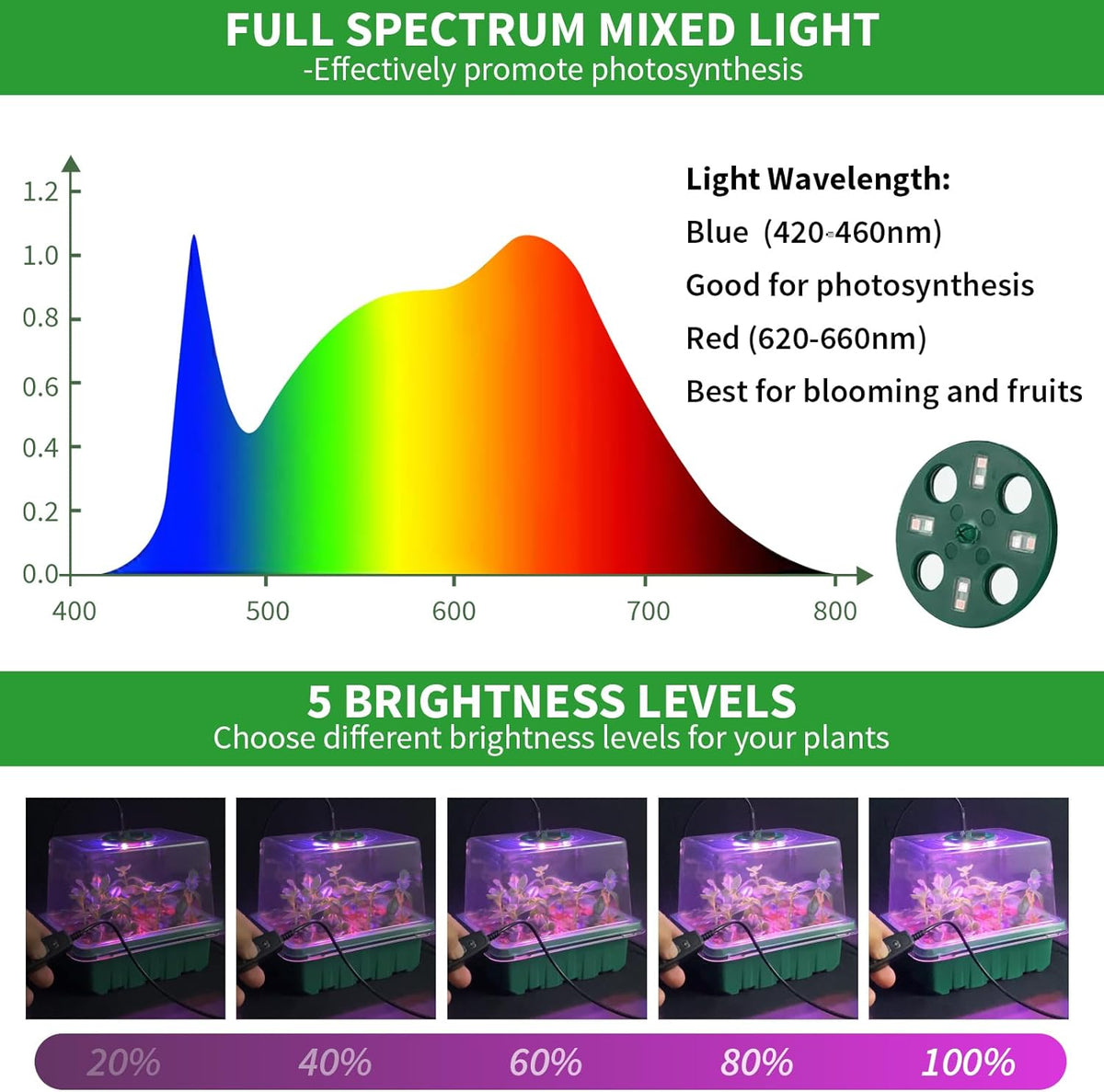 Seed Starter Tray with Plant Light, 2 Pack Grow Lights for Seed Starting Kit with Humidity Domes, Timing Controller Adjustable Brightness for Greenhouse Propagator Station Planting Growing