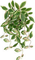 DILATATA Fake Plants Artificial Potted Plants 20 Inch Faux Peperomia Ivy Vine Plant Hanging Plant for Home Office Desk Shelf Indoor Outdoor Decor