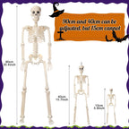 11 Pcs Halloween Skeleton Decorations Realistic Full Body Movable Joints Halloween Plastic Skeleton for Cemetery, Yard, Indoor and Outdoor Party Decoration