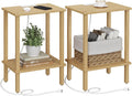 TUTOTAK End Table with Charging Station, Set of 2, Small Side Table with Outlets, Nightstand Bedside Table, 2-Tier Storage Shelf for Small Space, Living Room, Bedroom Natural TB01BN041