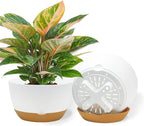10 Inch Pots for Indoor Plants, Large Self Watering Planters with Drainage and Saucers, Plastic Outdoor Flower Pot, Set of 2, White