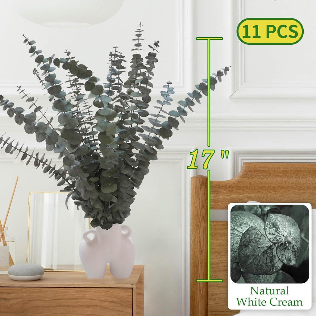 11 PCS Real Dried Eucalyptus Stem for Shower & Bathroom Decor - 17'' Large Natural Fresh Eucalyptus Leaves Hanging Plants, Shower Stuff Green Home Vase Decor, DIY