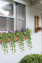 DILATATA Fake Hanging Plants Artificial Hanging Plants 26" Faux Peperomia Hanging Leaves Plants for Wall Shelf Home Indoor Outdoor Decor - 2 Pack