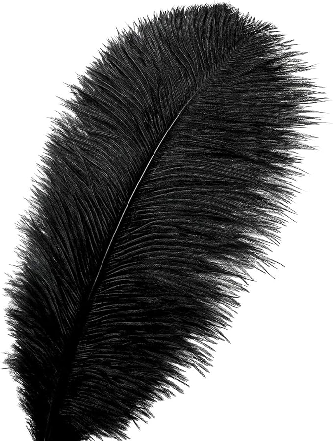 Ballinger Black Large Ostrich Feathers - 24Pcs 12-14inch Large Feathers for Vase,Gatsby and Halloween Party Centerpieces