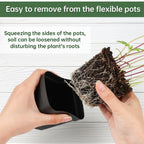 60 Pcs Nursery Pots 2.7 Inch, Plastic Seed Starting Pot with Drainage Holes, Sturdy Seedling pots for Planting, Cuttings (Black)