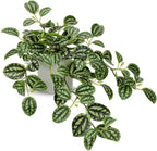 Fake Hanging Plants, 20 Inch Artificial Ivy Plant in Ceramic Pot Faux Watermelon Peperomia Trailing Vine Plant Potted for Home Bedroom Office Table Shef Desk Indoor Outdoor Decor Green