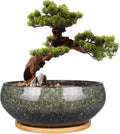 8 Inch Ceramic Bonsai Planter Pot, Glazed Shallow Succulent Planter with Drainage Hole and Bamboo Saucer for Indoor Plants, Brown