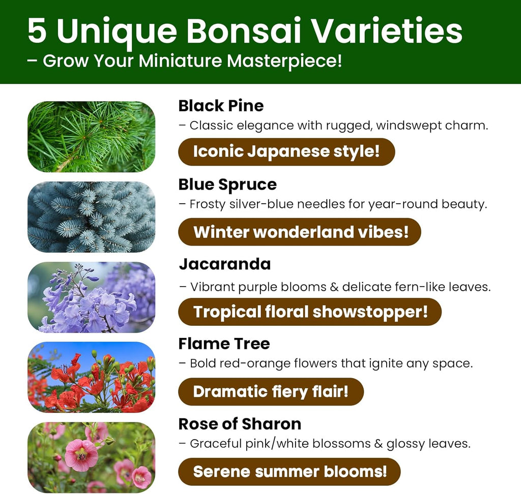 5 Pack Bonsai Tree Kit - Unique Gardening Gift Set for Plant Lovers | Complete Japanese Bonsai Starter Kit with Seeds, Tools & Planters | Ideal Christmas, Birthday Gifts for Women & Men