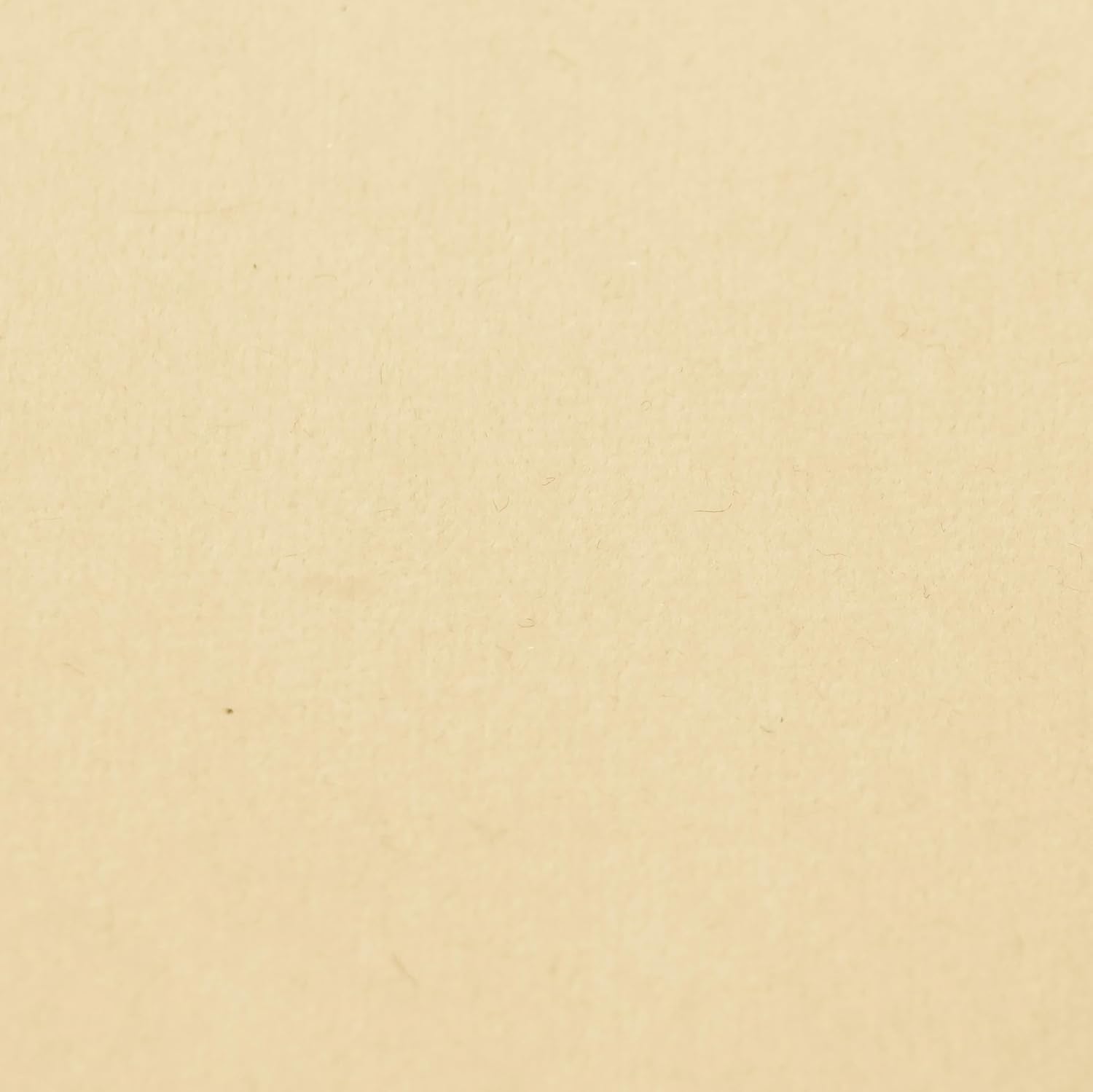 Tov Furniture Melody Tasseled Ottoman (Cream)