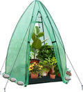 EAGLE PEAK Portable Mini Dome Greenhouse with Zippered Door and Mesh Window, Outdoor Mini Hexagon Greenhouse Kit for Indoor Outdoor Gardening 63"x63"x72", Green PE Cover