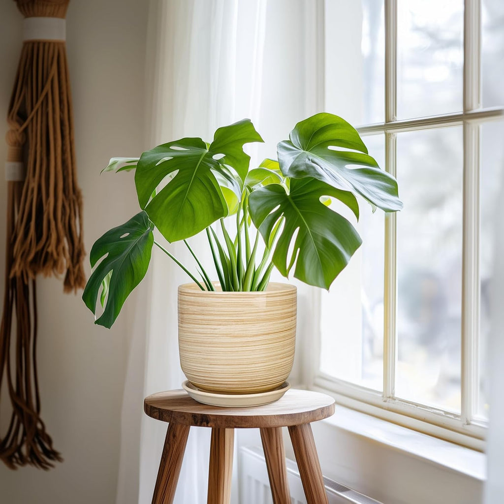 Ceramic Planter for Indoor Plants 7 Inch - Cylinder Modern Indoor Plant Pot with Drainage Hole and Saucer, Home Patio Office Bathroom Decor, Yellow