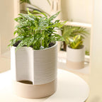 Nihow Self Watering Plant Pot: 8 Inch Ceramic Planter with Drainage Hole & Water Storage Plus for Indoor & Outdoor Plants - Cylinder Round Flower Pot for Succulent/Herbs/Violets - White & Brown