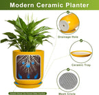 Plant Pot 8 Inch - Ceramic Plant Pot with Drainage Hole and Saucer Large Planter for Indoor Plants Outdoor Modern Flower Pot for Home Garden Decor Yellow